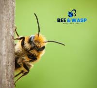 Bee and Wasp Removal Sydney image 2